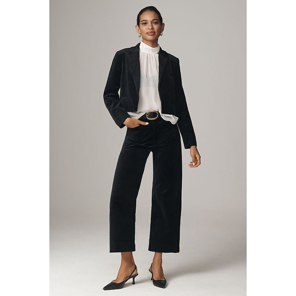 The Colette Velvet Crop Wide-Leg Pants by Maeve (in a very dark green) 29 NWT